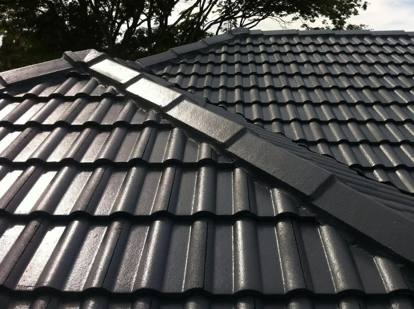 Professionally painted charcoal metal roof in Waikato